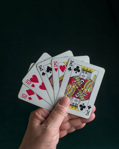 haitogel platform interface showing slot games, live-dealer tables, and sportsbook menu